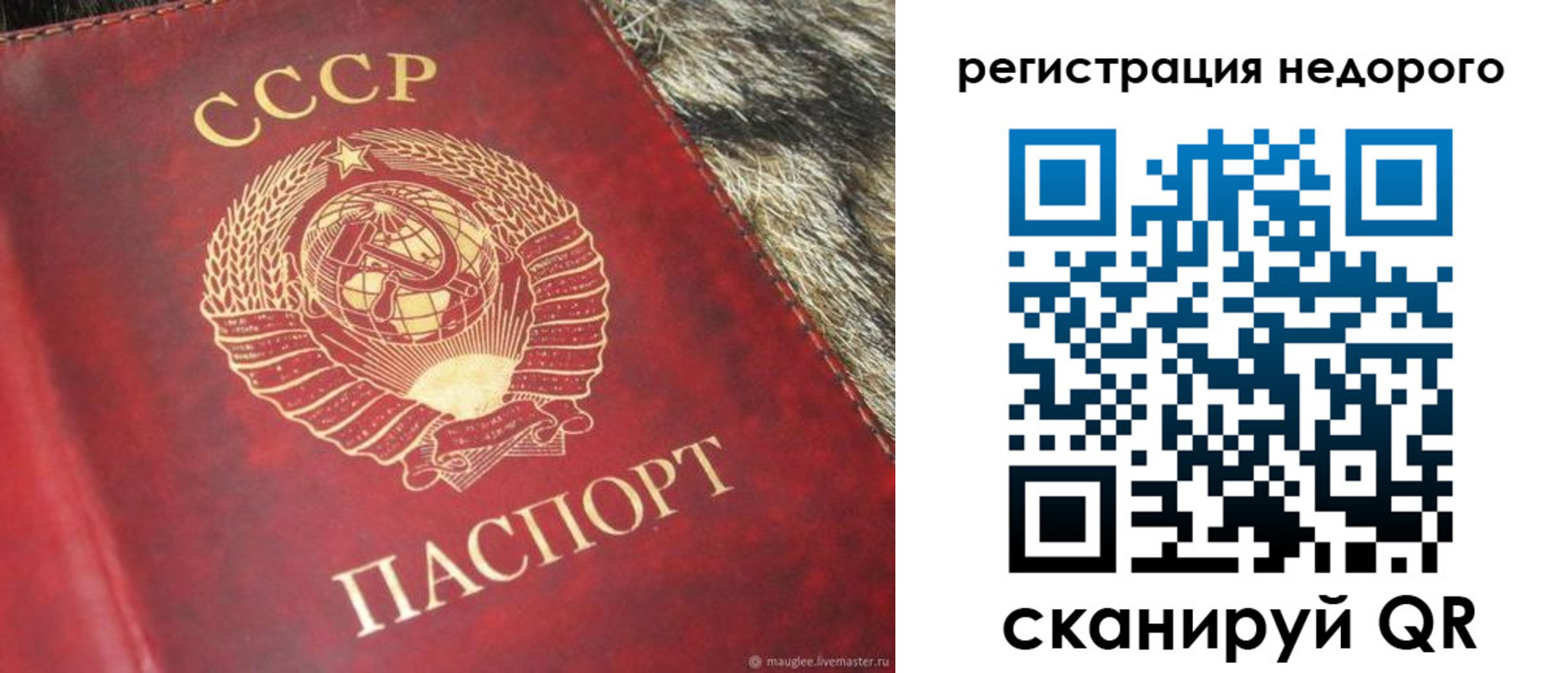 прописка ребенка в Черногорске